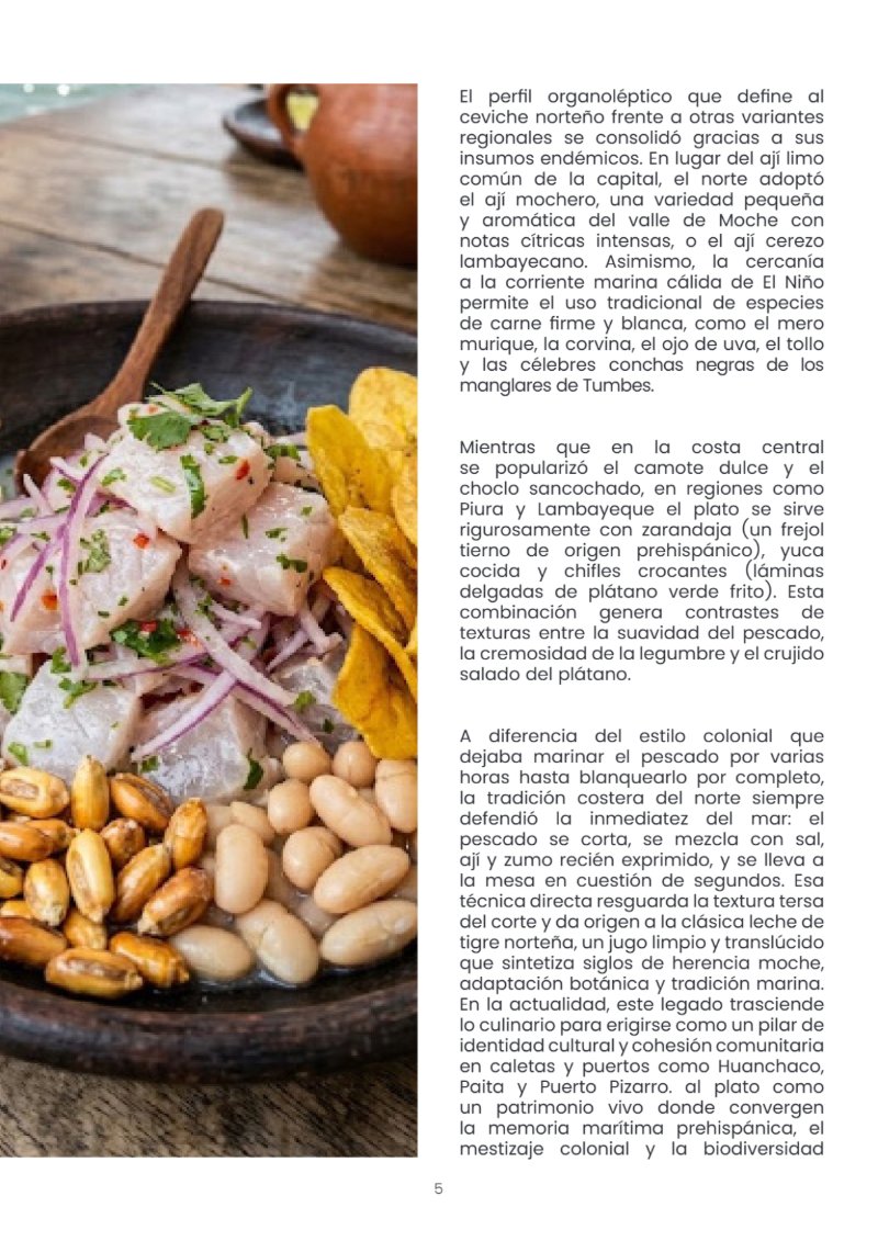 ESTRUCTURA DE REVISTA _ 5 — page 5