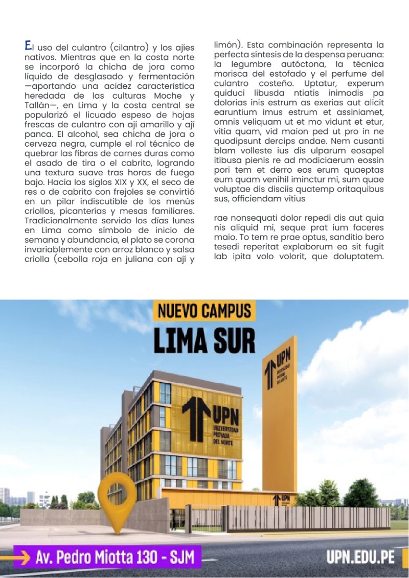 ESTRUCTURA DE REVISTA _ 5 — page 7
