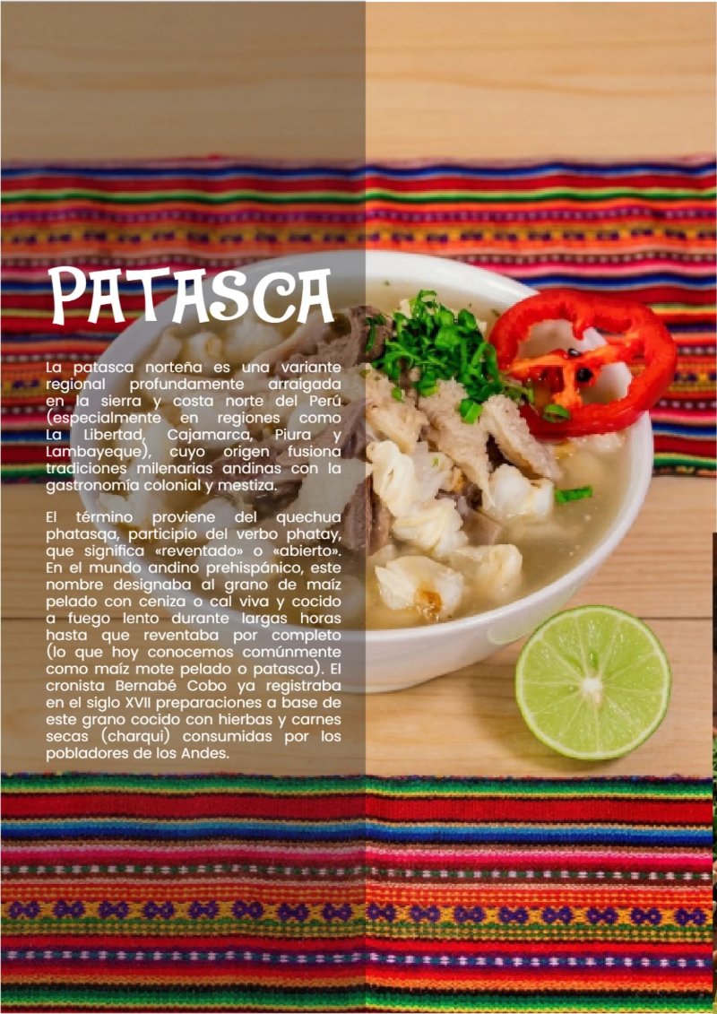 ESTRUCTURA DE REVISTA _ 5 — page 8
