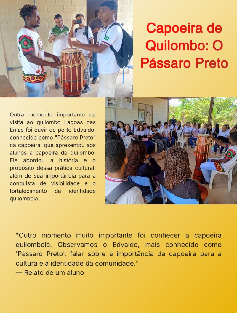 Revista — page 8