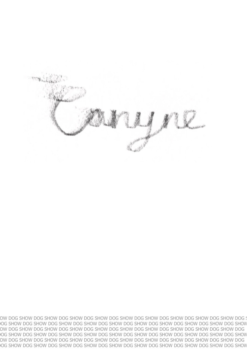CANYNE — page 2
