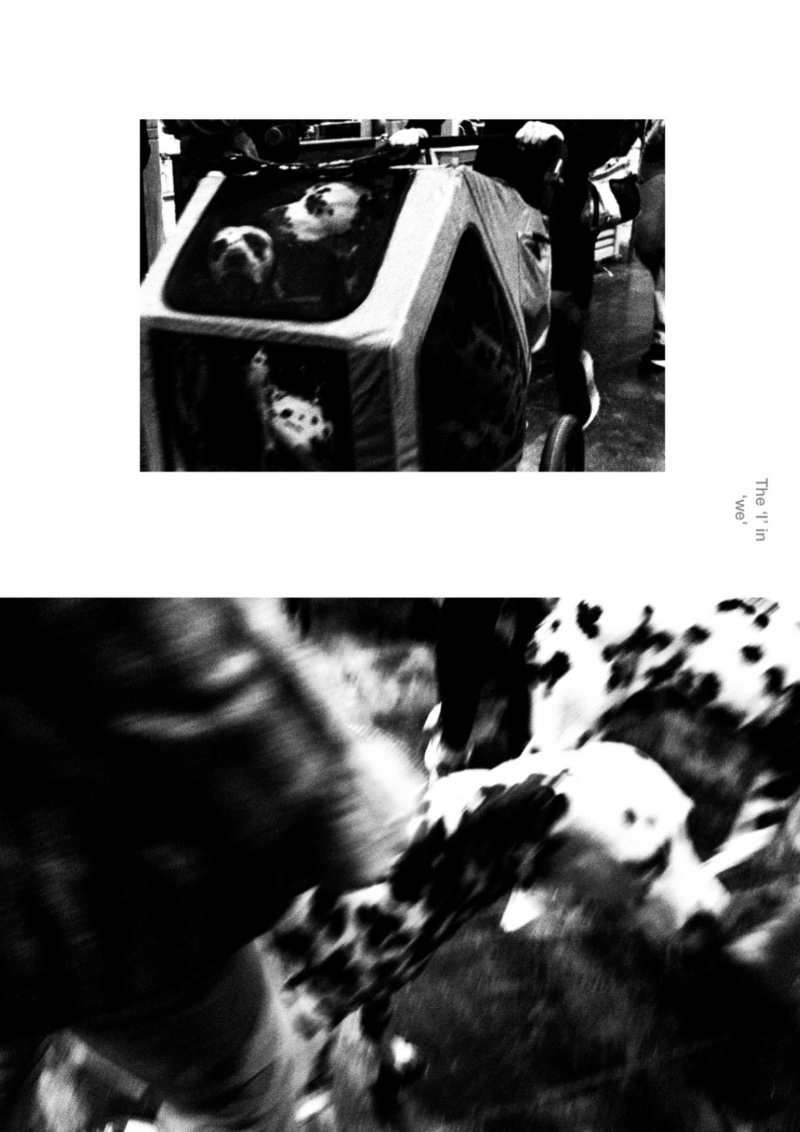 CANYNE — page 11