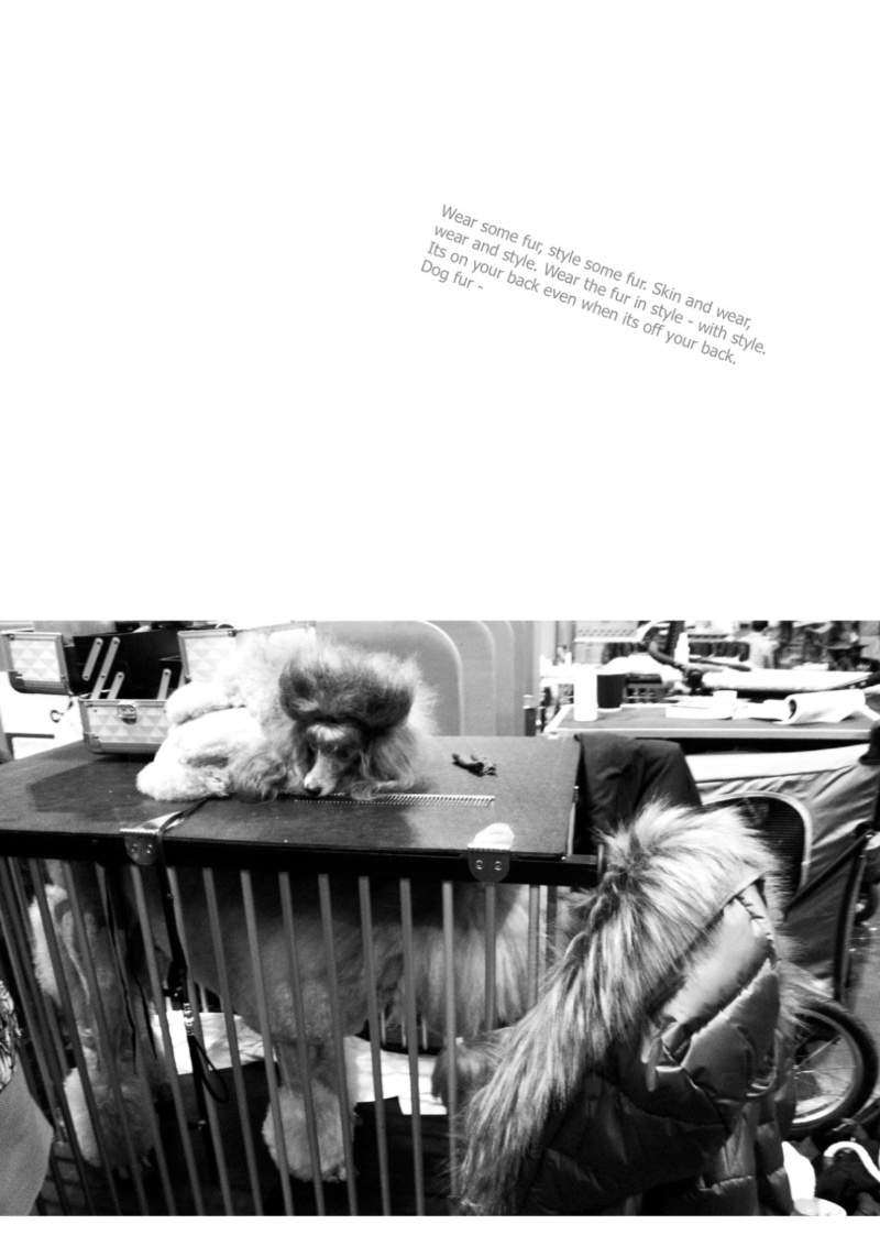 CANYNE — page 12