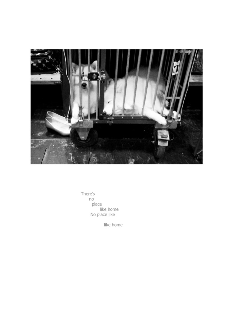 CANYNE — page 4