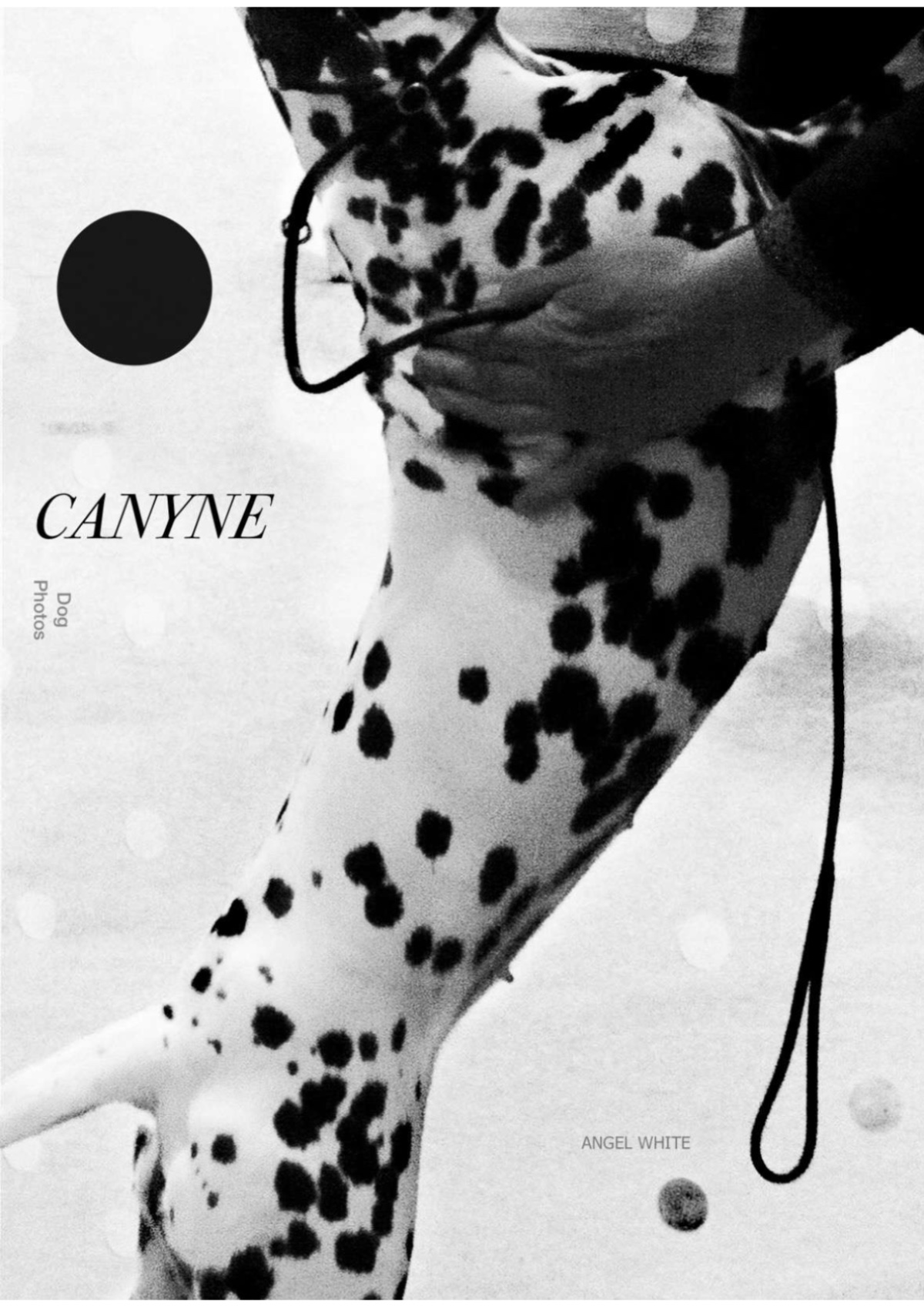 CANYNE