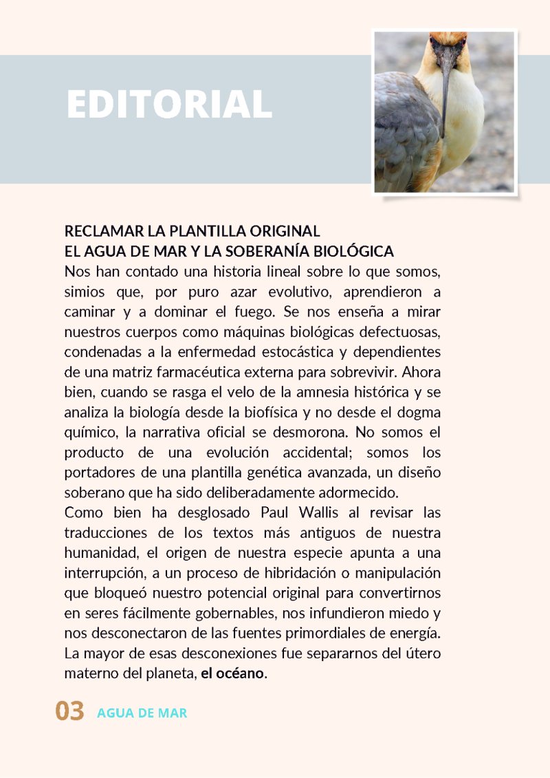 n26 A. H. ESPECIAL MAR 2 — page 3