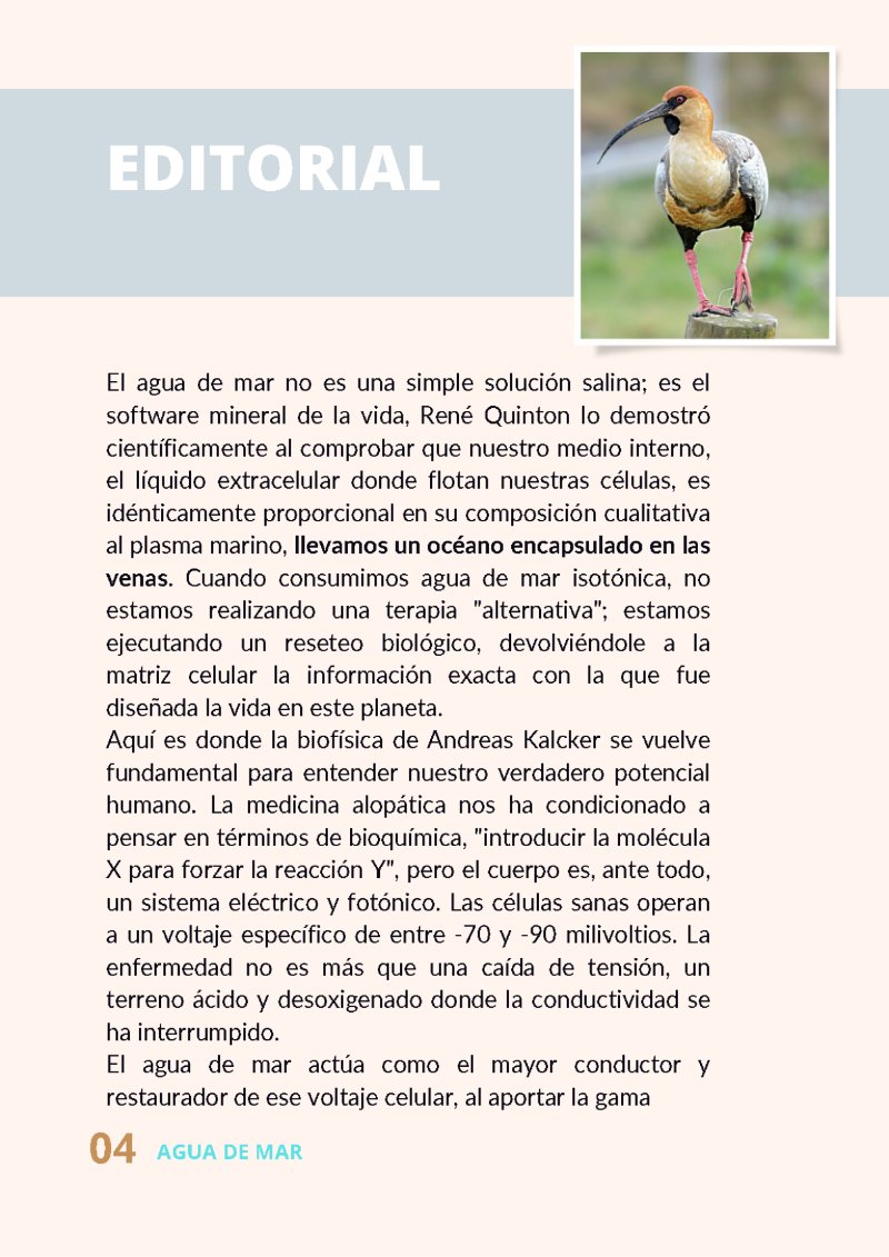 n26 A. H. ESPECIAL MAR 2 — page 4