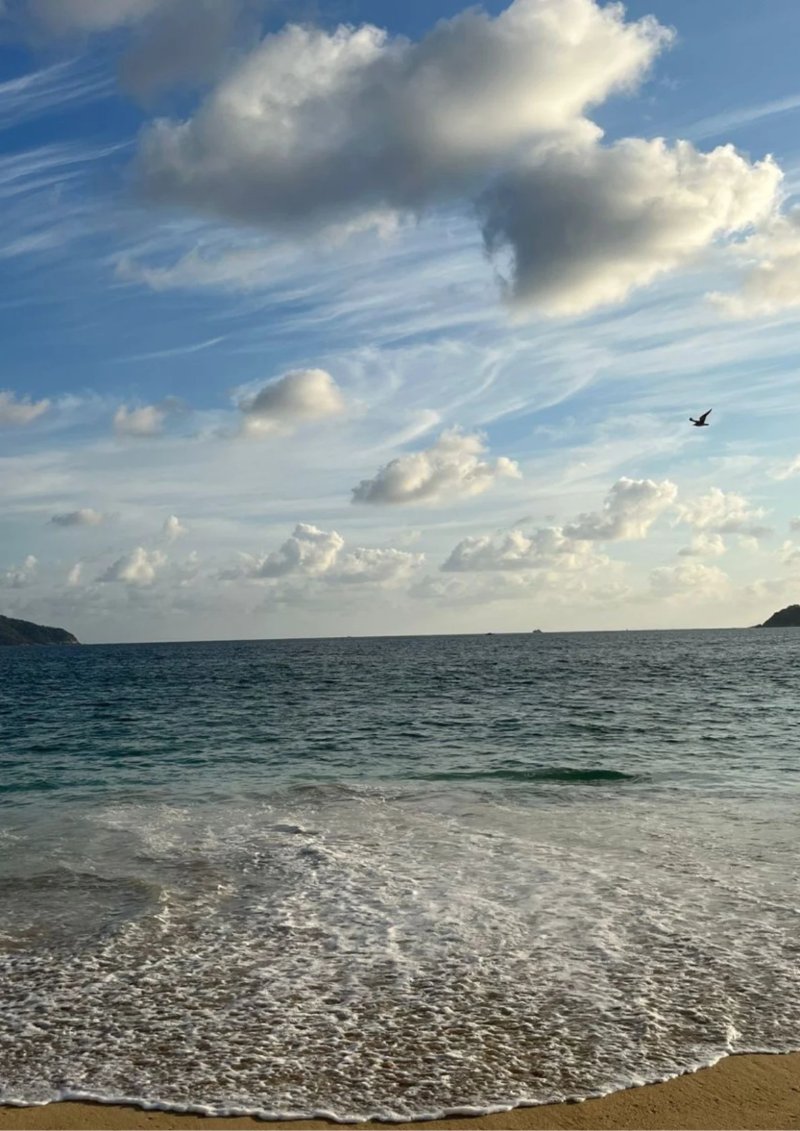 n26 A. H. ESPECIAL MAR 2 — page 41