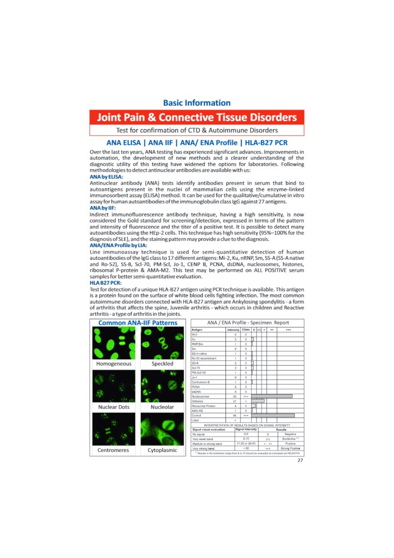Brochure July-2026 1-40pages — page 27