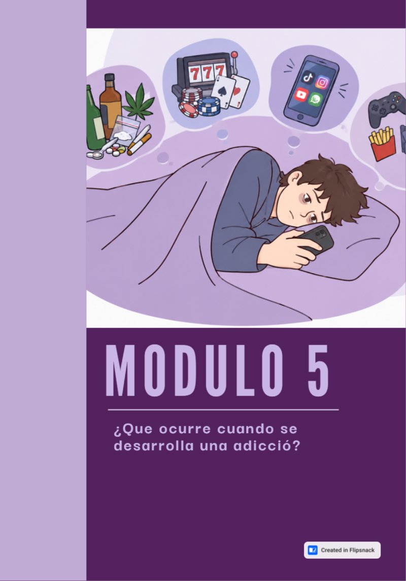 Guia prevencion de adicciones a nivel secundaria — page 27