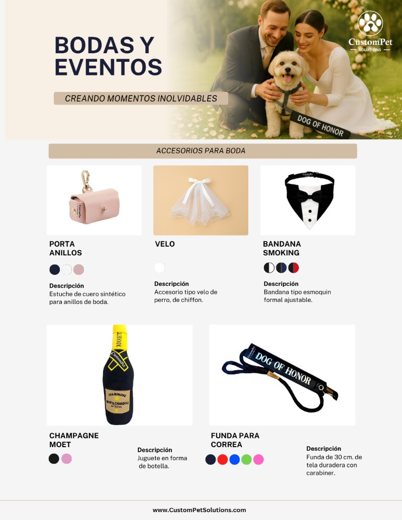 Catalogo-2026 — page 12