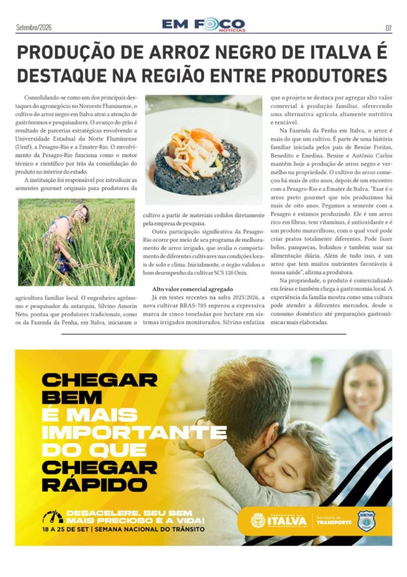 Jornal Em Foco - Edição nº 08. — page 7