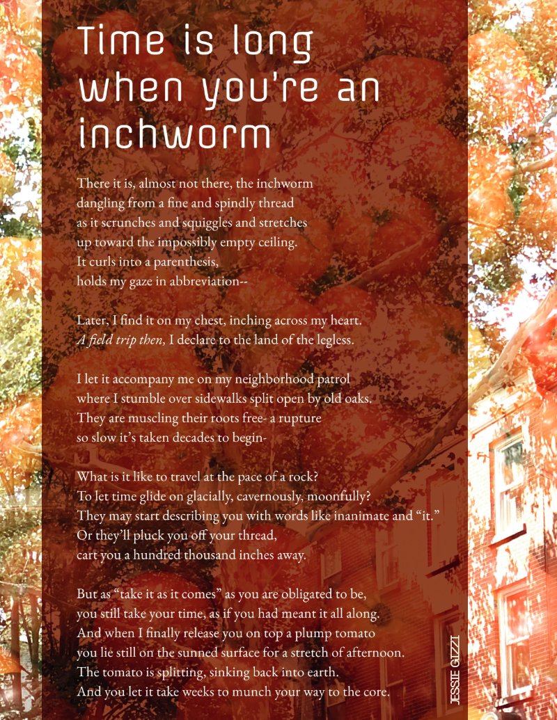 Whimsi Radical Fall Equinox Zine — page 17