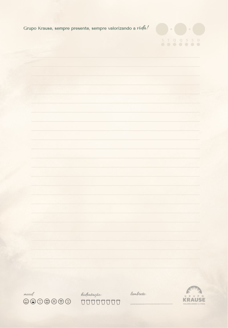 Ajustado - Caderno Grupo Krause — page 17