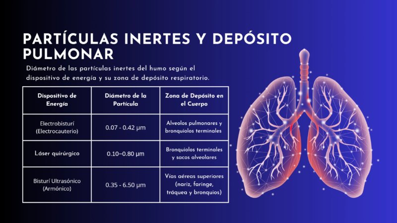 Presentación de anatomía del cuerpo humano moderno científico azul y celeste (1) — page 6