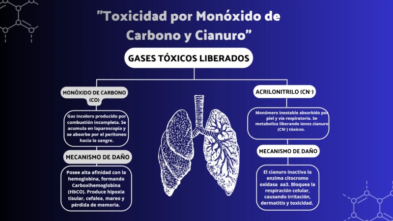 Presentación de anatomía del cuerpo humano moderno científico azul y celeste (1) — page 8