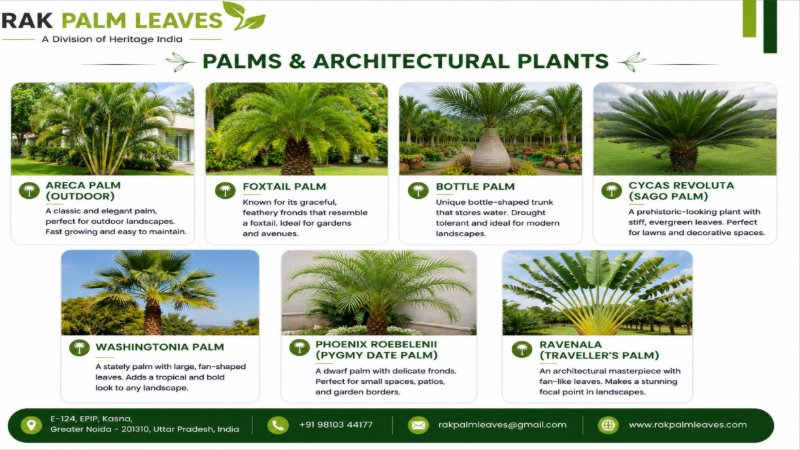CATALOUGE OF SUN LOVING PLANTS — page 7