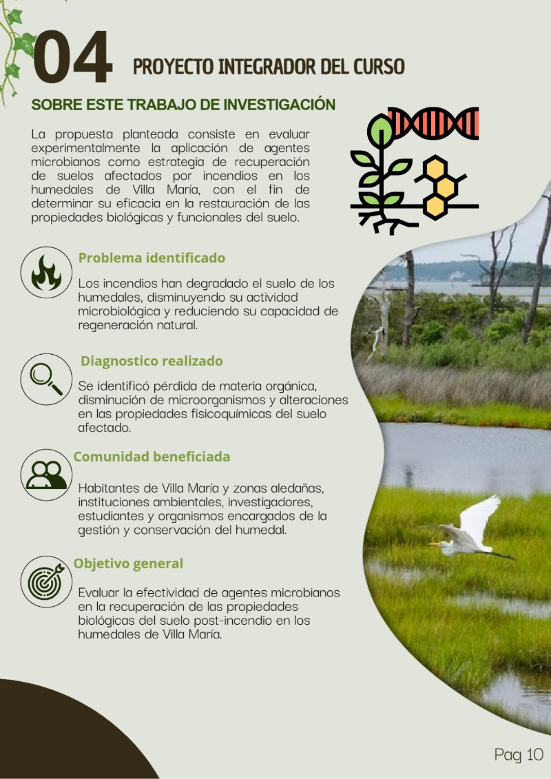 REVISTA_HUMEDALES_COSTEROS — page 11