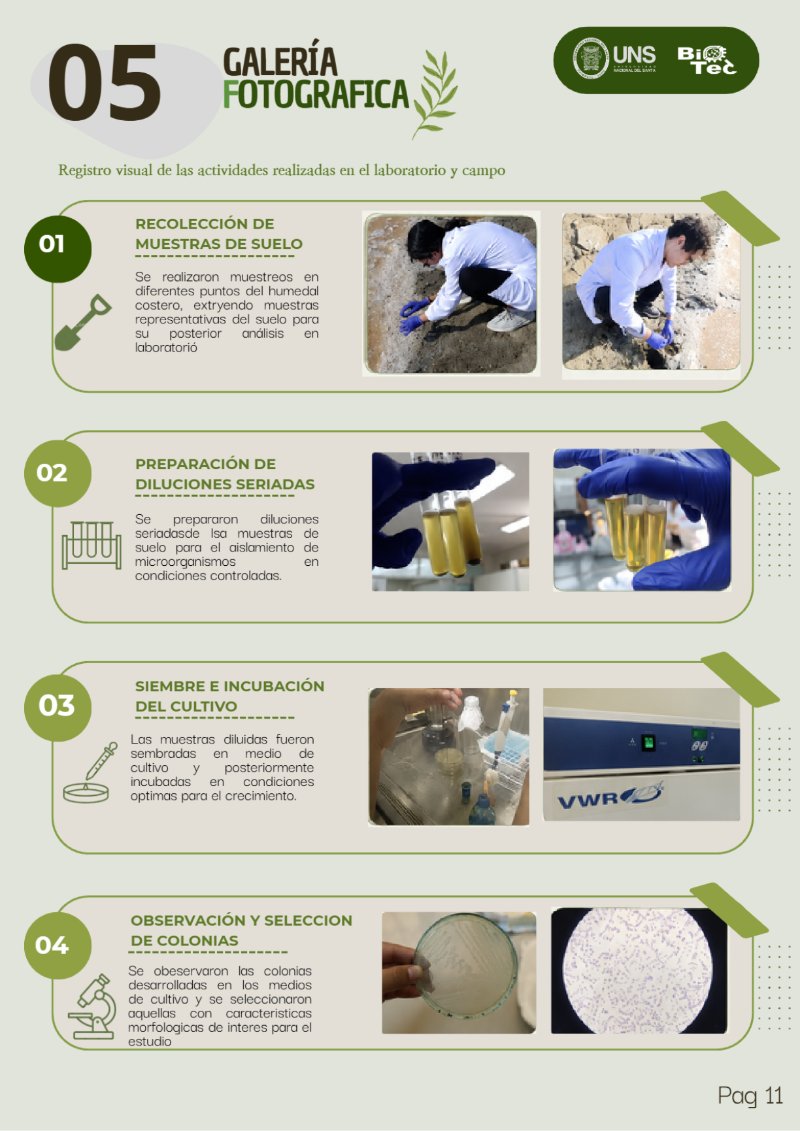 REVISTA_HUMEDALES_COSTEROS — page 12