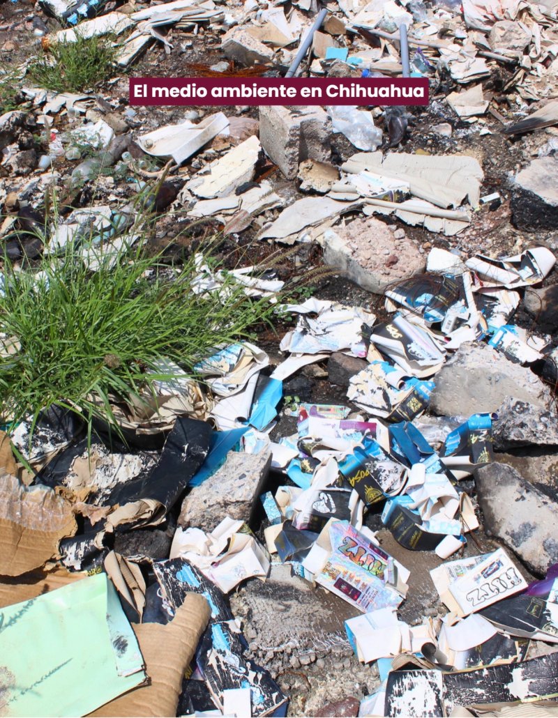 2DO INFORME MIGUEL RIGGS — page 36