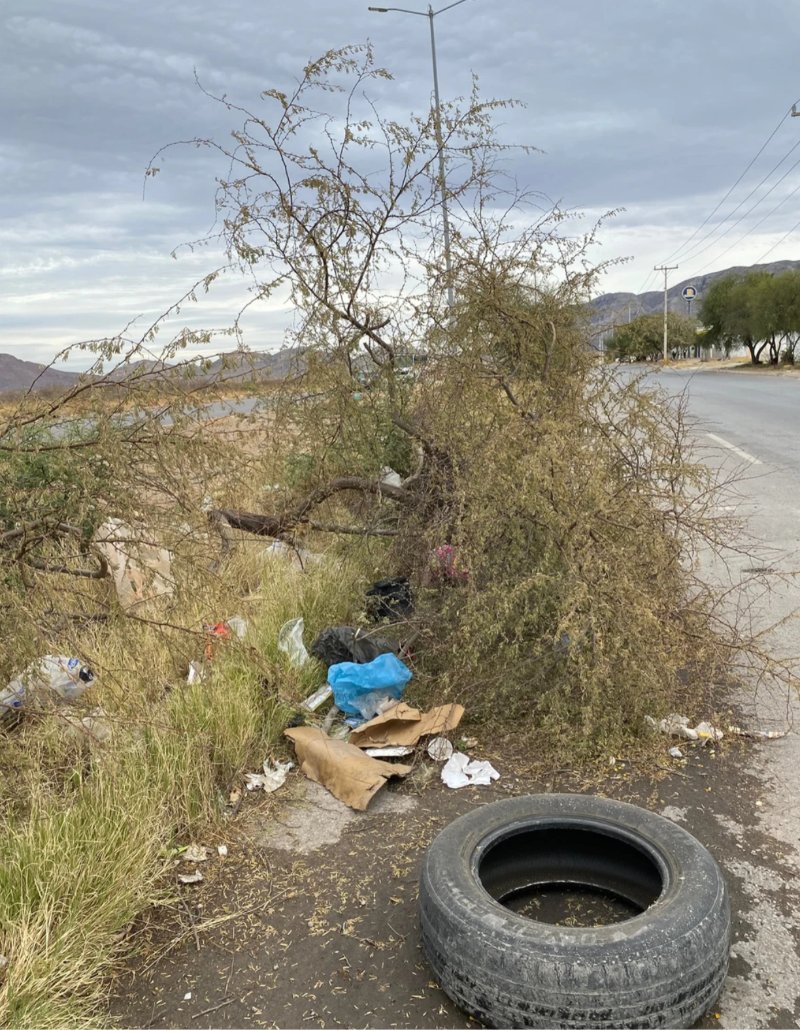 2DO INFORME MIGUEL RIGGS — page 42