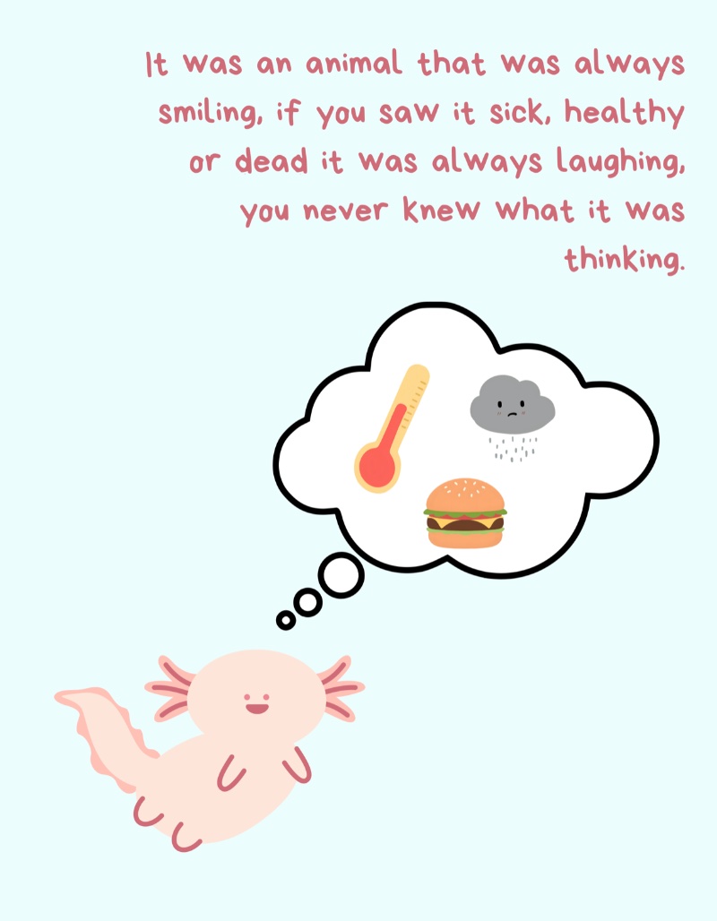 The magical animal from Xochimilco — page 3