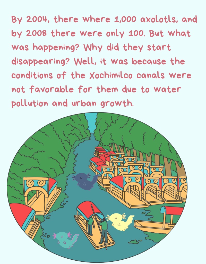 The magical animal from Xochimilco — page 4