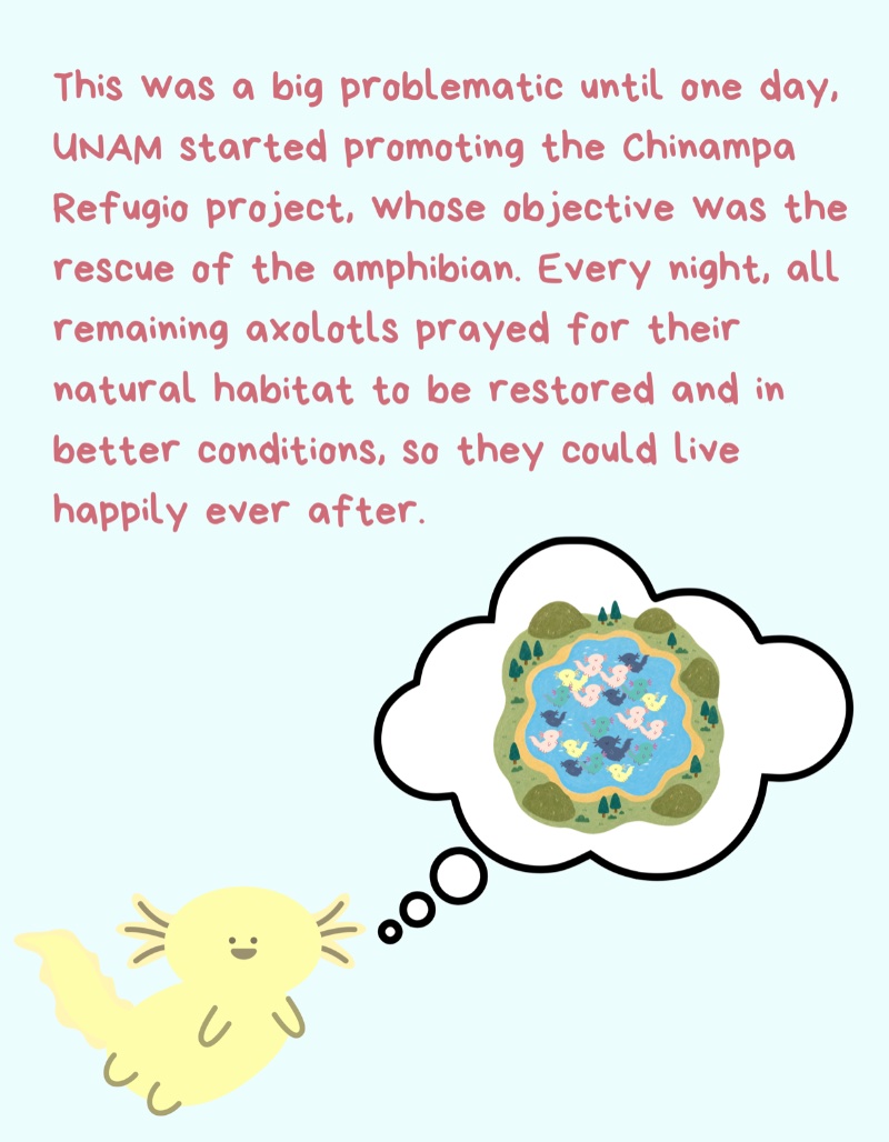 The magical animal from Xochimilco — page 6