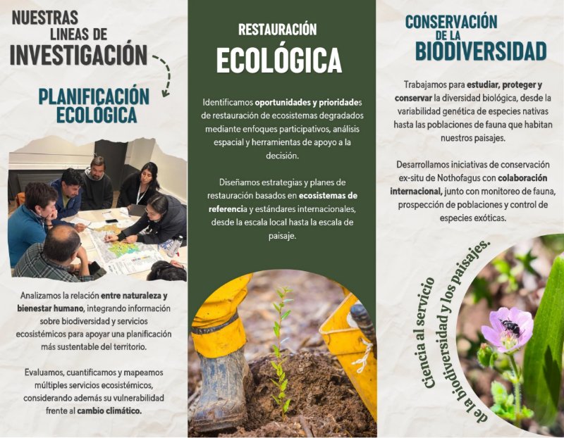 Tríptico LEP — page 2