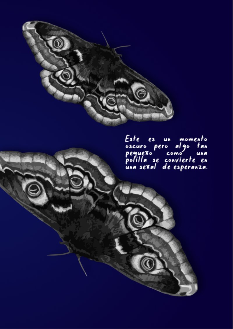 FINALARCHI_compressed — page 25