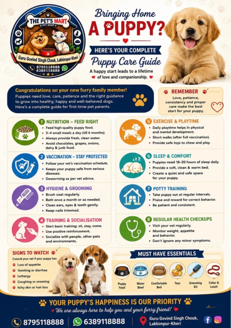Pets Mart 2026 — page 4
