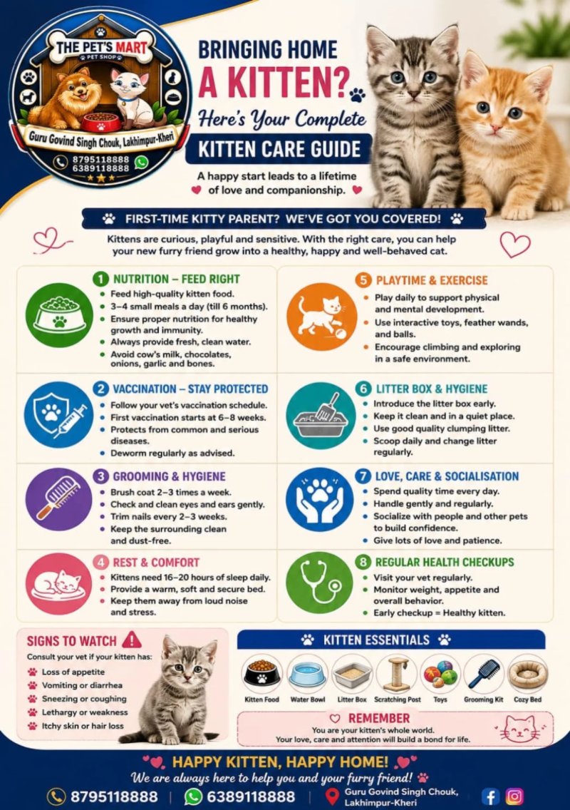 Pets Mart 2026 — page 6