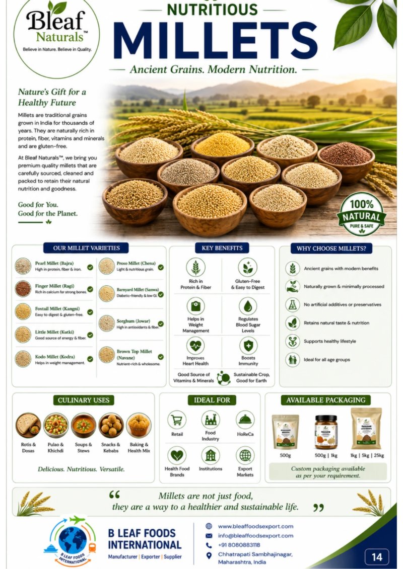 Products Catlog — page 12