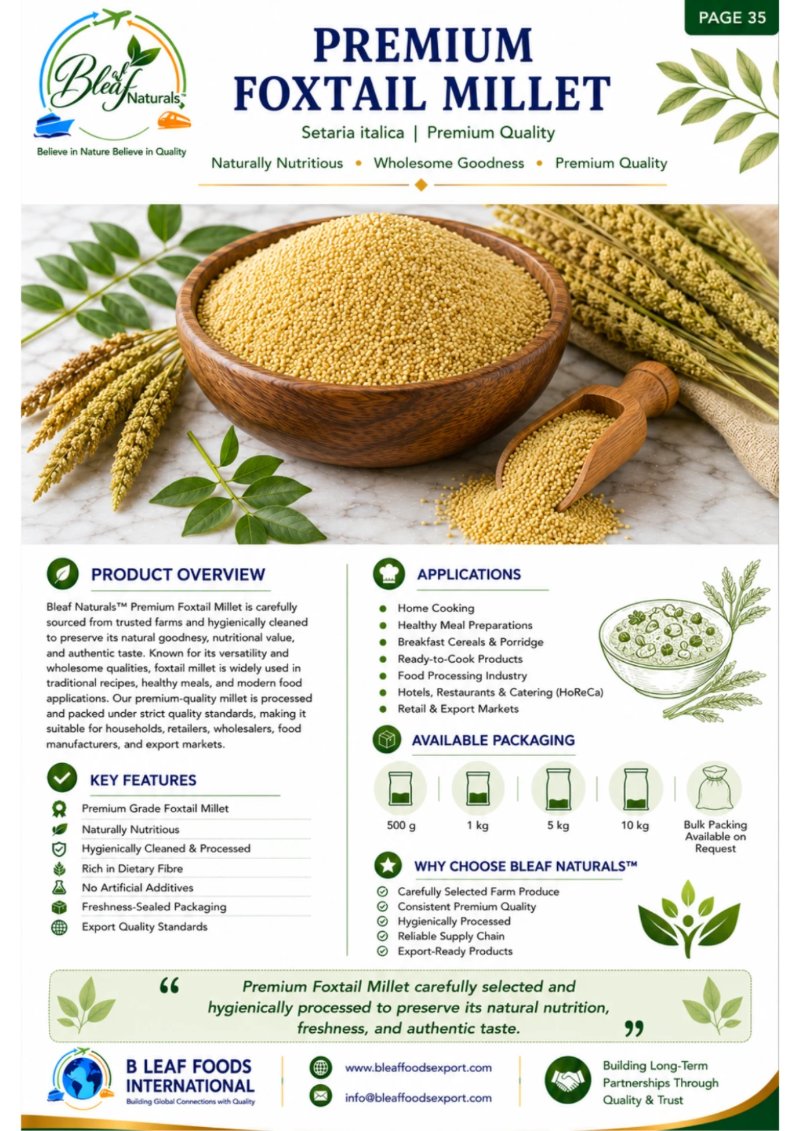 Products Catlog — page 39