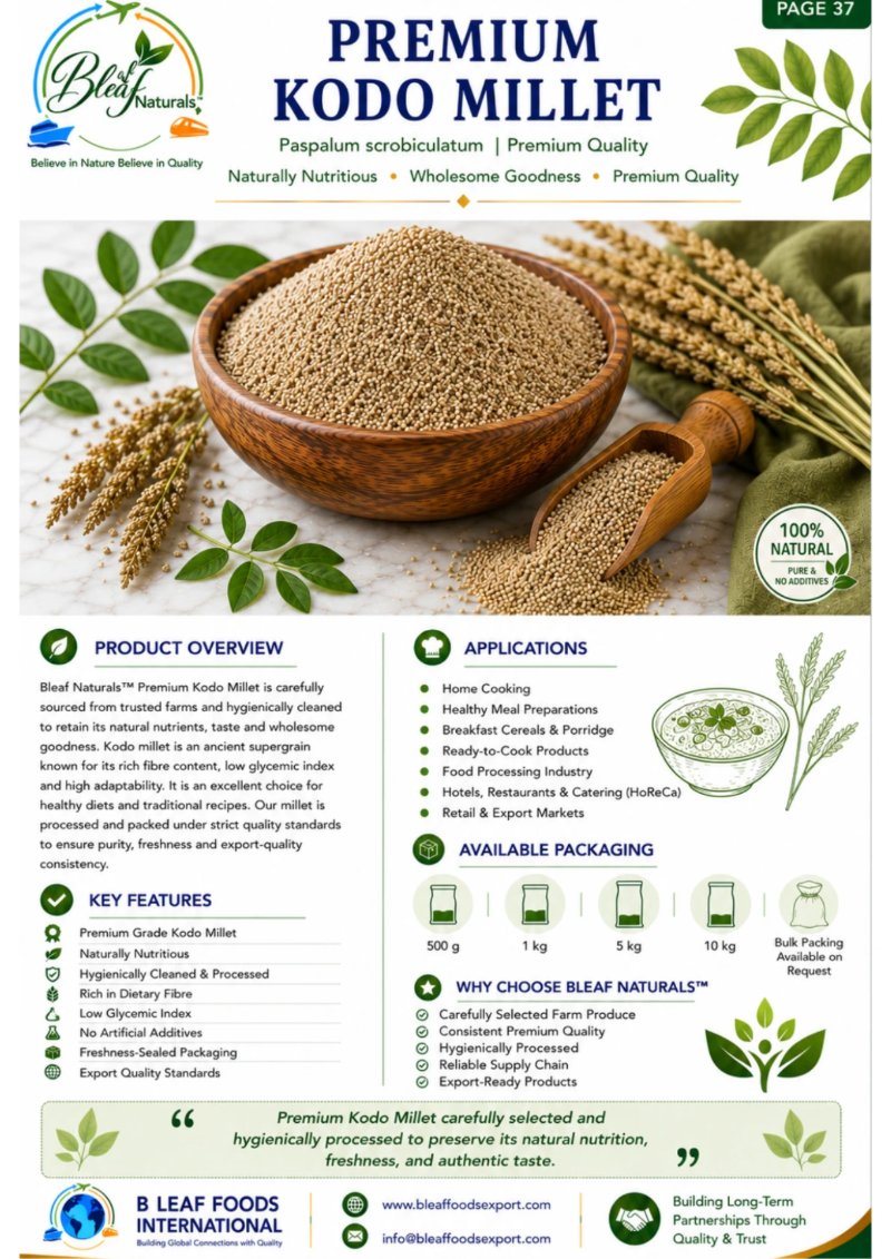 Products Catlog — page 41