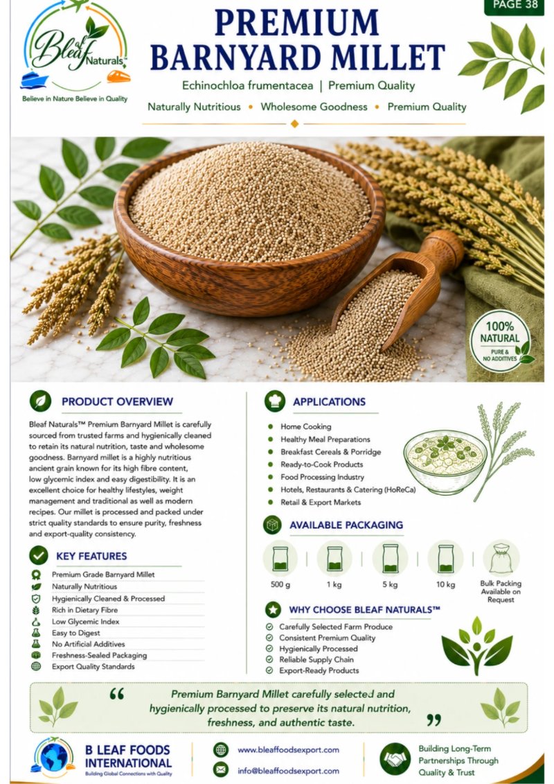 Products Catlog — page 42