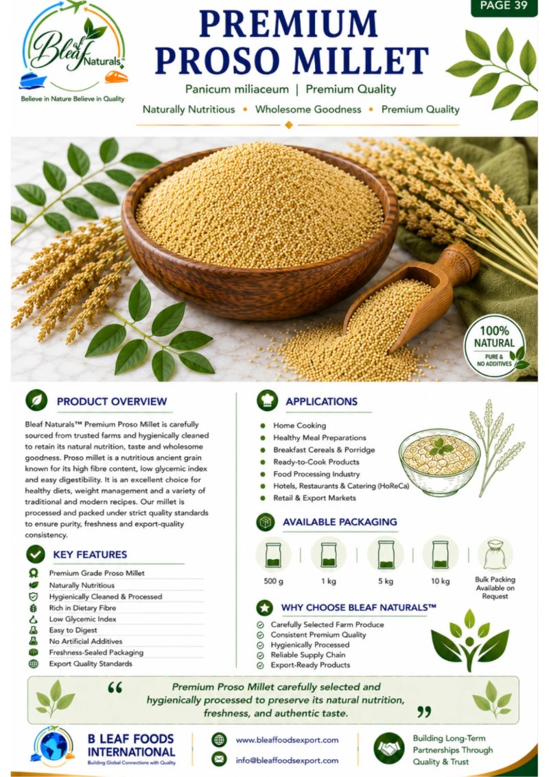 Products Catlog — page 43