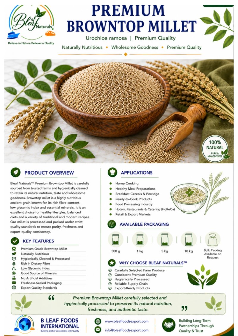 Products Catlog — page 44