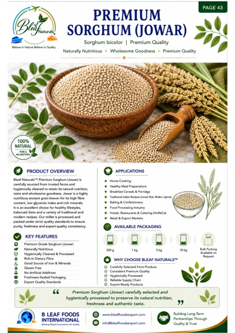 Products Catlog — page 47