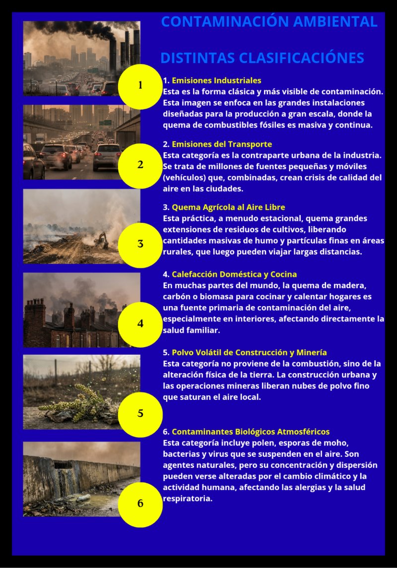 Shonos_20260701_195201_0000 — page 12