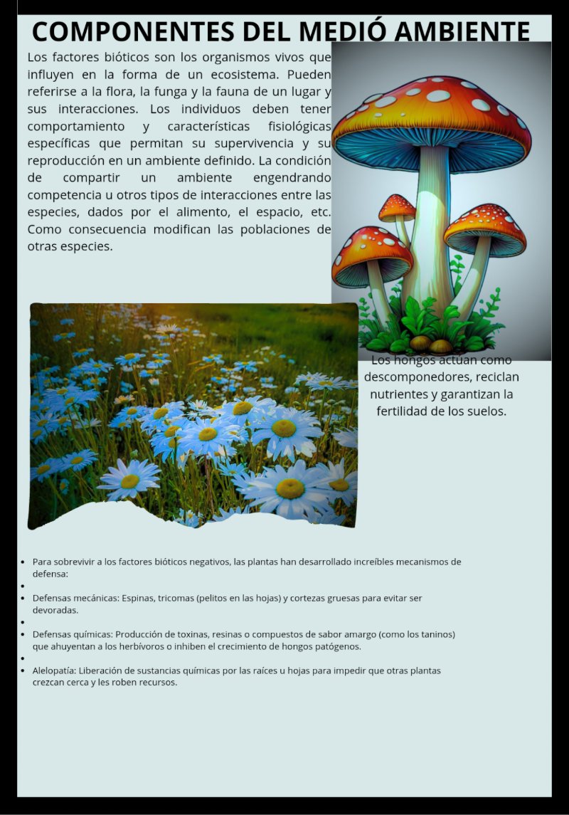 Shonos_20260701_195201_0000 — page 8