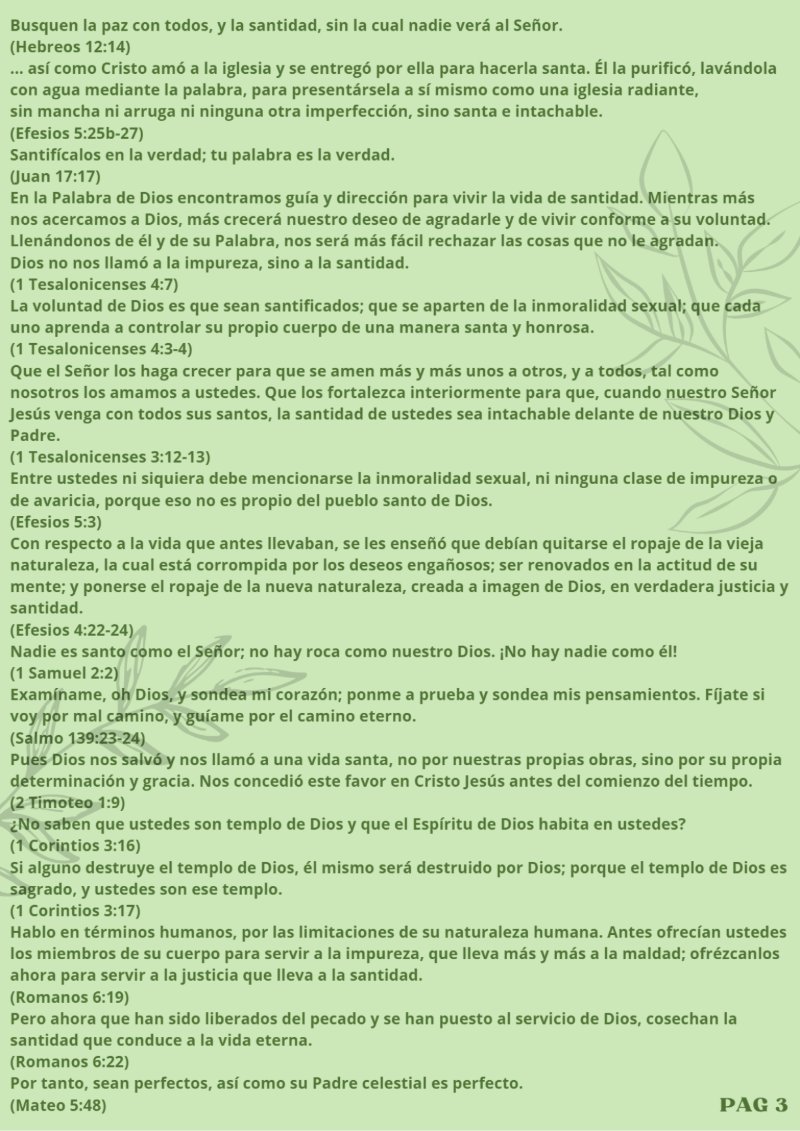 El Crsiano 1° — page 4