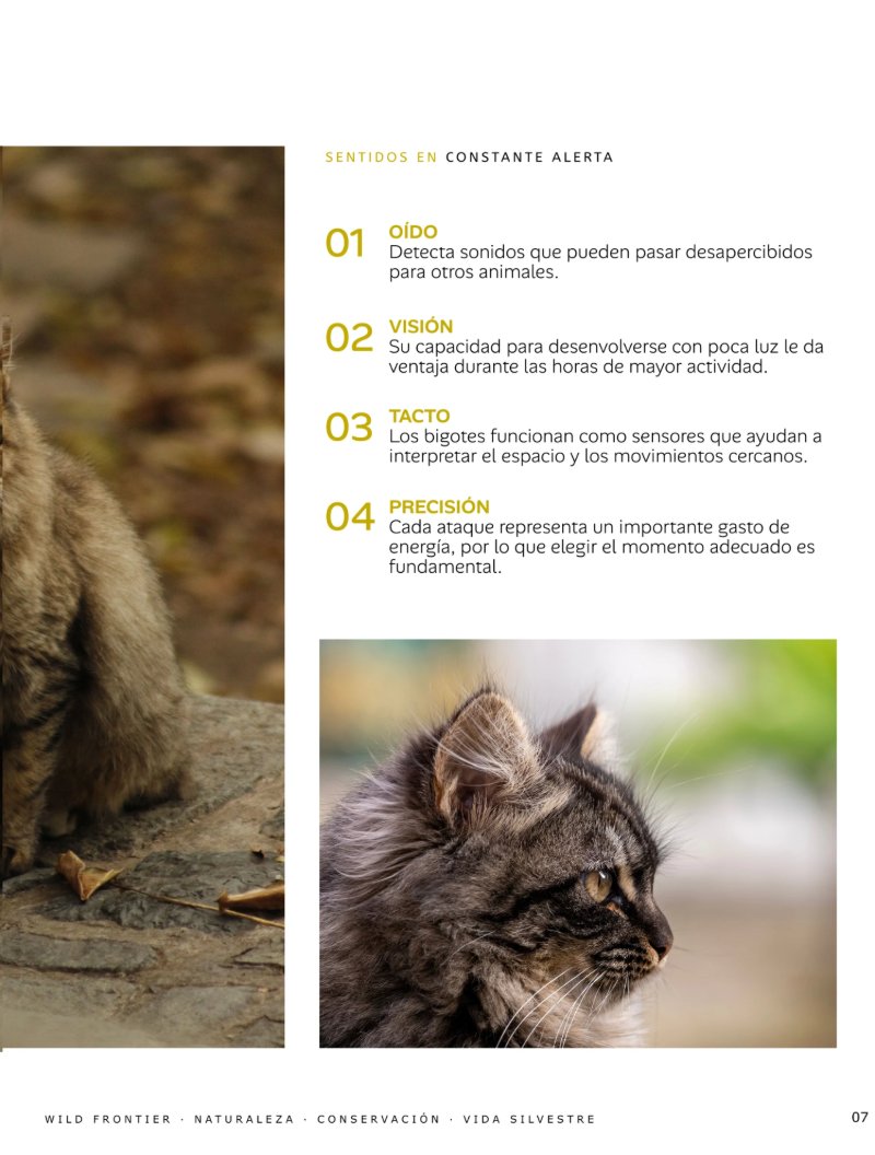 Untitled Magazine — page 5