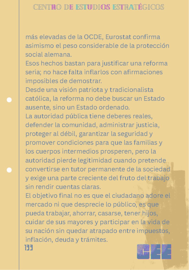 Revista CEE n11 — page 133