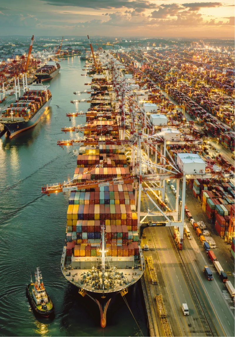 Revista CEE n11 — page 83