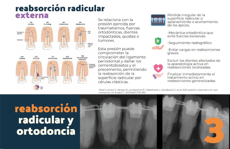 REVISTA ORTO-ENDO — page 11