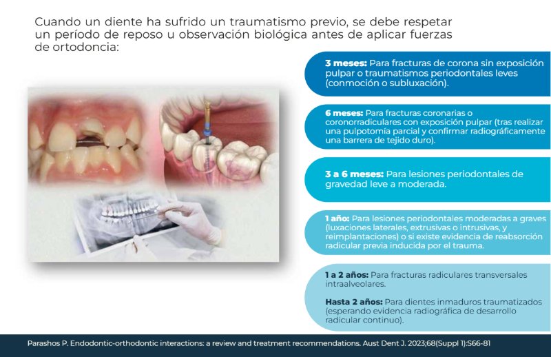 REVISTA ORTO-ENDO — page 14
