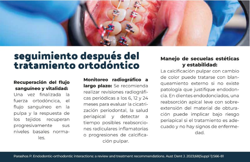 REVISTA ORTO-ENDO — page 15