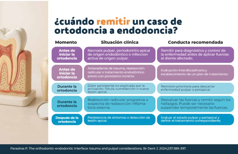 REVISTA ORTO-ENDO — page 16