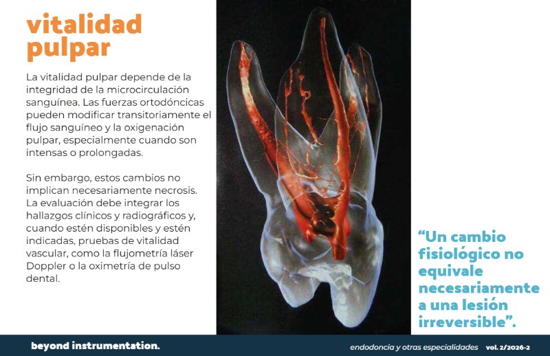 REVISTA ORTO-ENDO — page 6